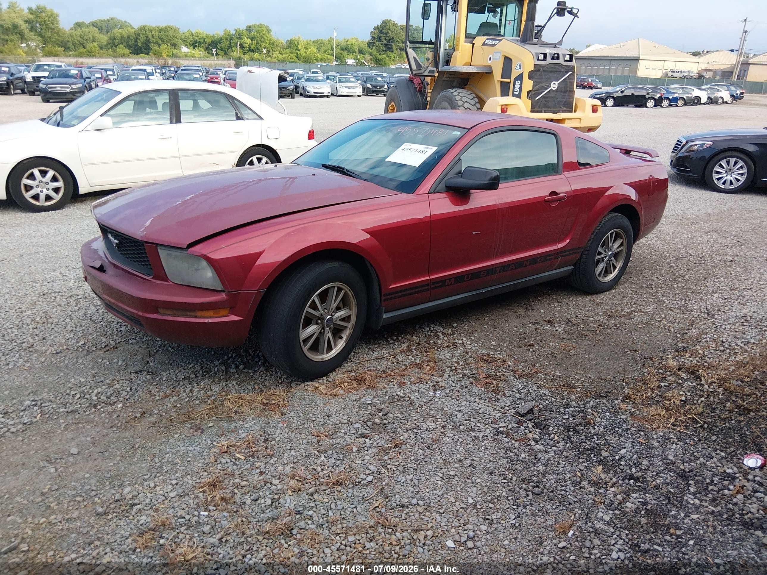 2005 Ford Mustang V6 Deluxe/v6 Premium Red vin: 1ZVHT80N355112660