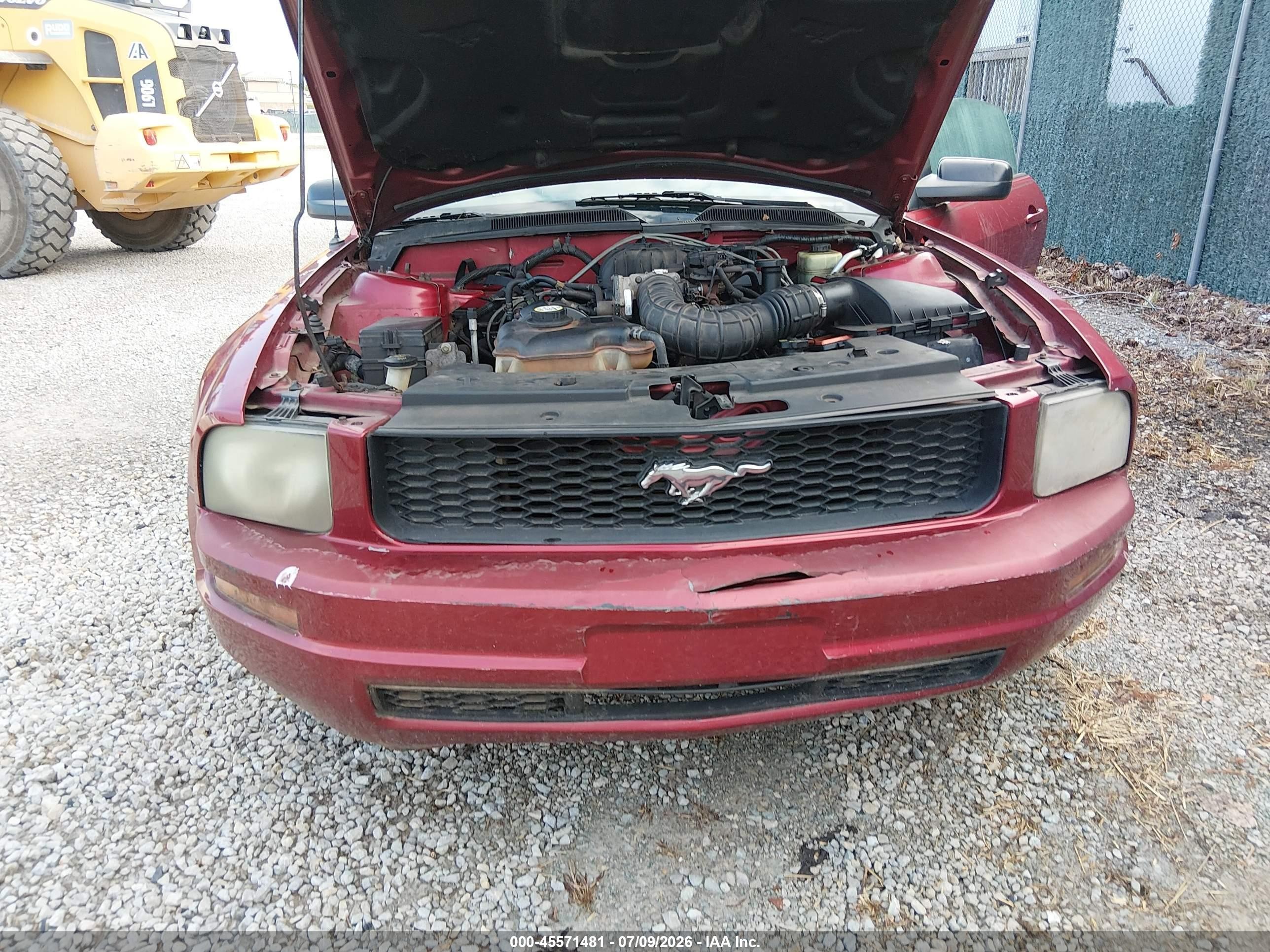 2005 Ford Mustang V6 Deluxe/v6 Premium Red vin: 1ZVHT80N355112660