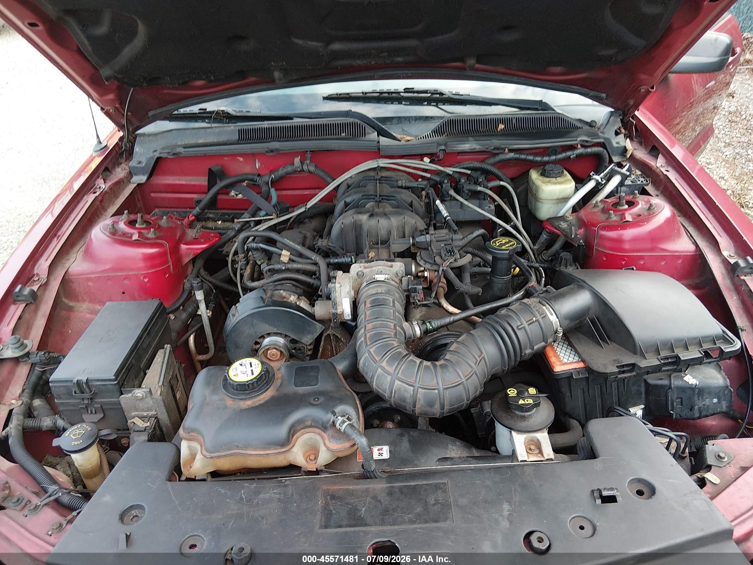 2005 Ford Mustang V6 Deluxe/v6 Premium Red vin: 1ZVHT80N355112660