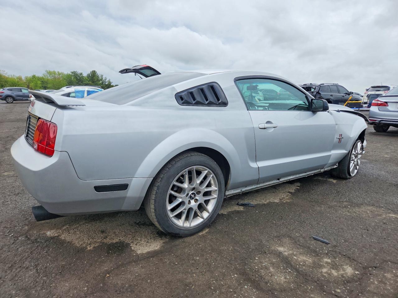 2006 Ford Mustang Silver vin: 1ZVHT80N365132652