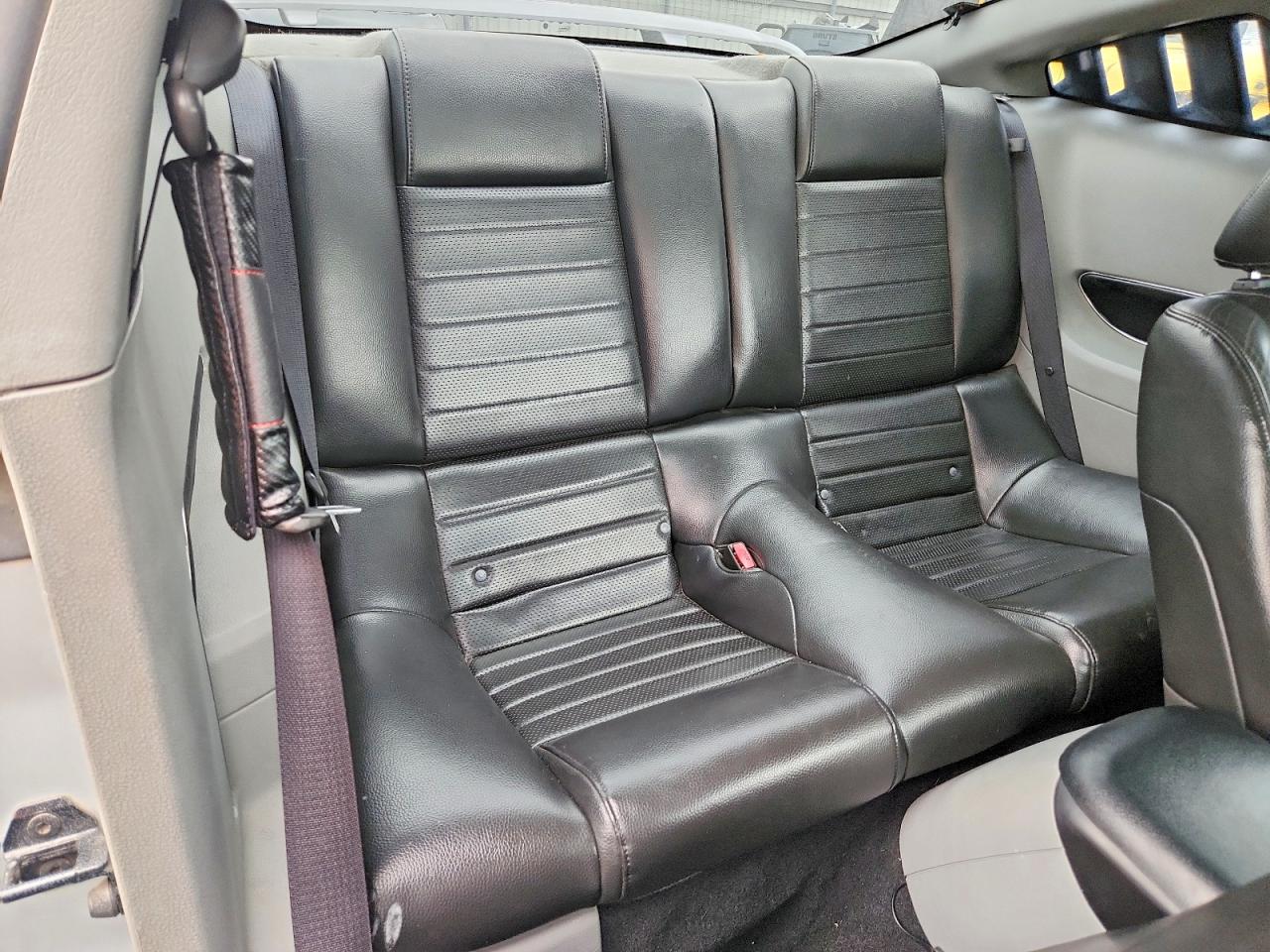 2006 Ford Mustang Silver vin: 1ZVHT80N365132652