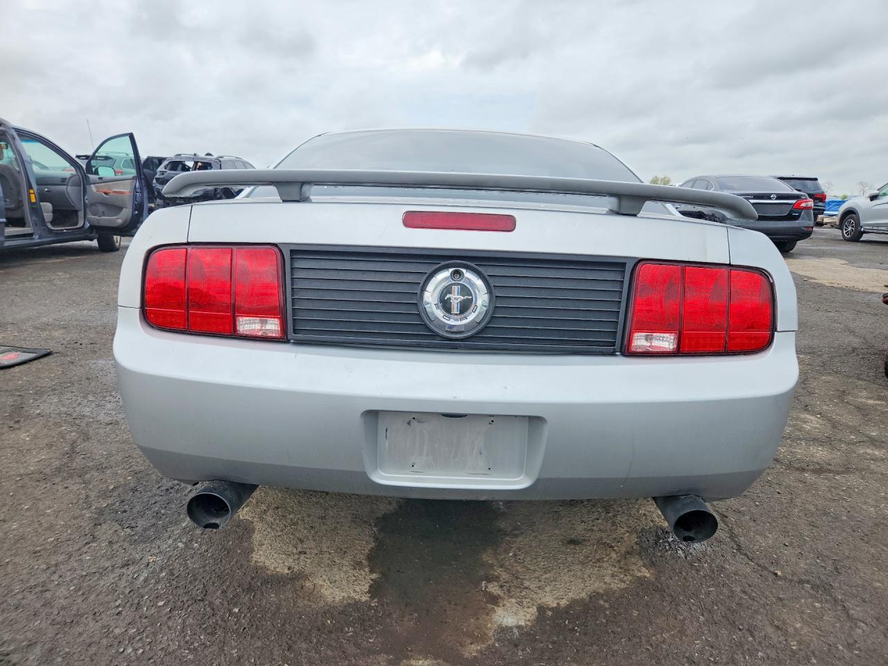2006 Ford Mustang Silver vin: 1ZVHT80N365132652