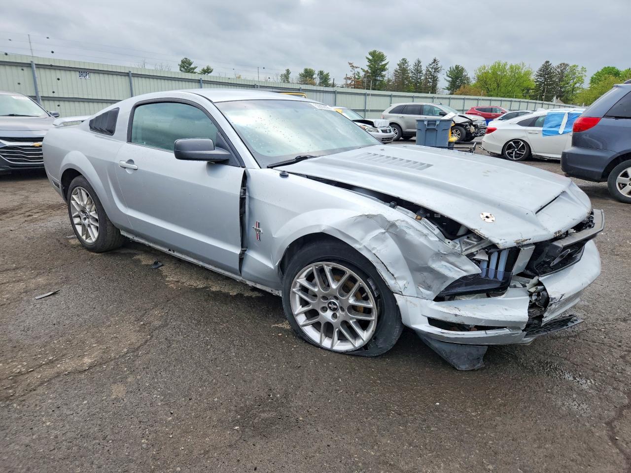 2006 Ford Mustang Silver vin: 1ZVHT80N365132652