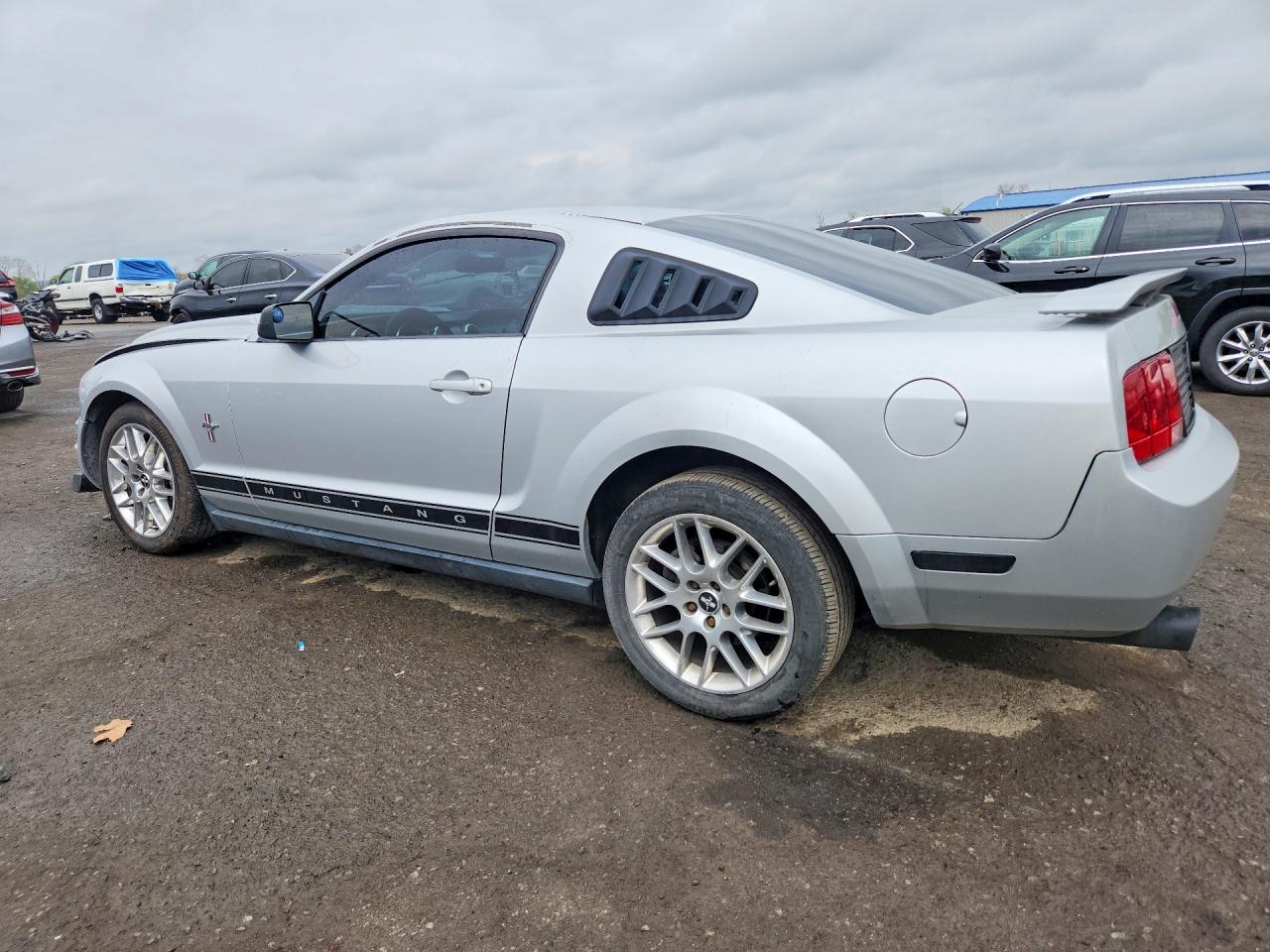 2006 Ford Mustang Silver vin: 1ZVHT80N365132652