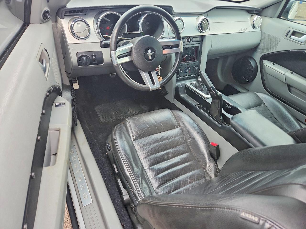 2006 Ford Mustang Silver vin: 1ZVHT80N365132652