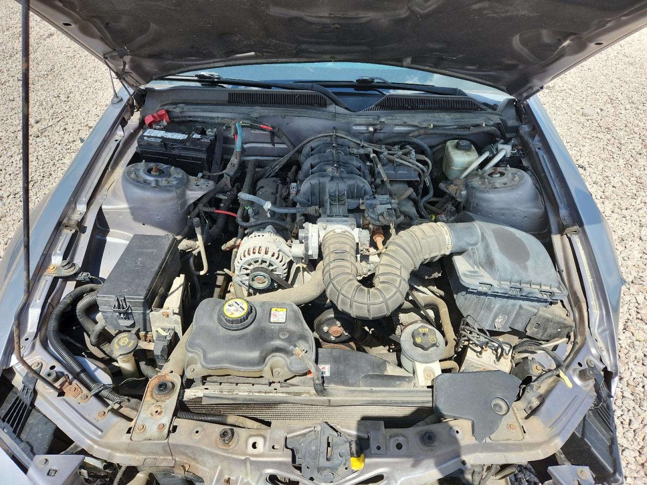 2006 Ford Mustang Серебряный vin: 1ZVHT80N365145188