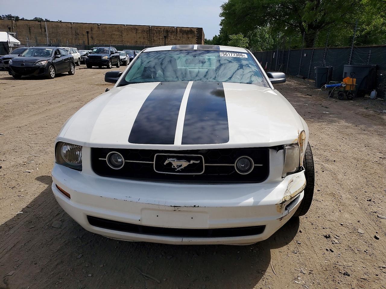 2008 Ford Mustang White vin: 1ZVHT80N385186049