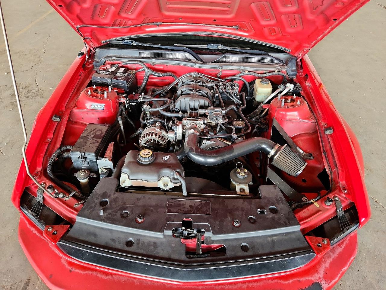 2008 Ford Mustang Red vin: 1ZVHT80N385187671