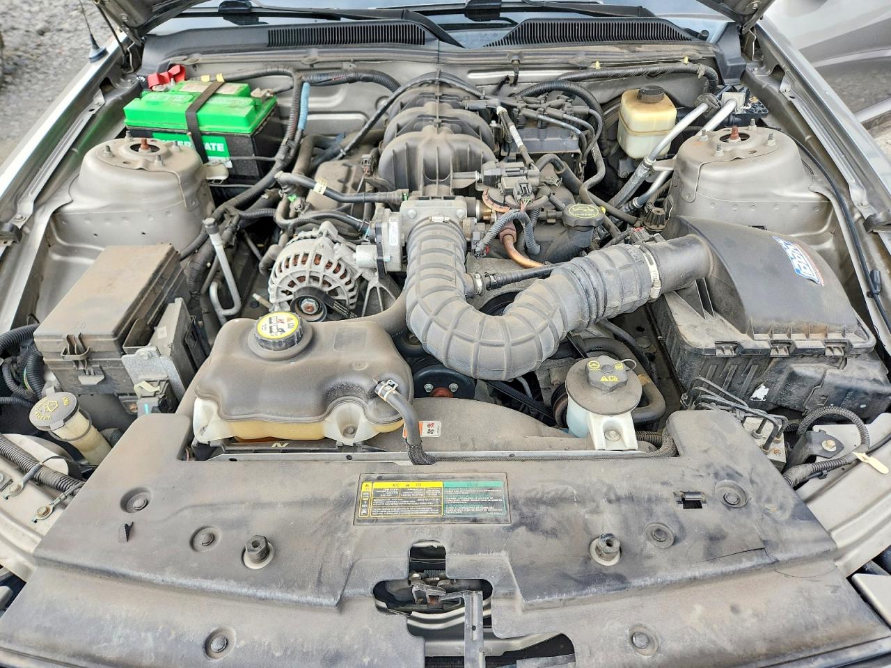 2008 Ford Mustang Cream vin: 1ZVHT80N385201147