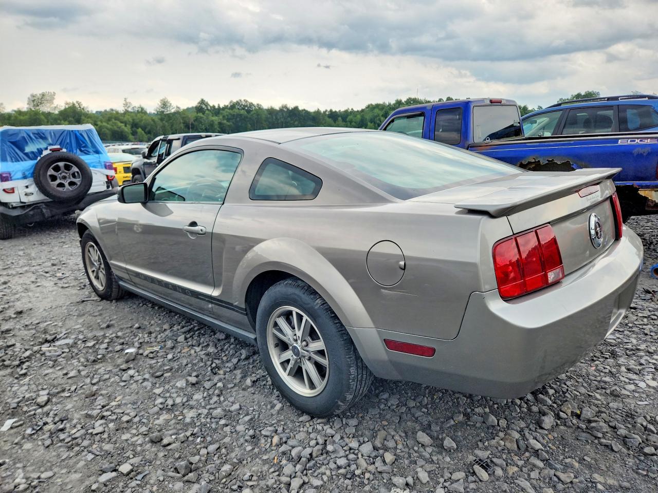2008 Ford Mustang Cream vin: 1ZVHT80N385201147