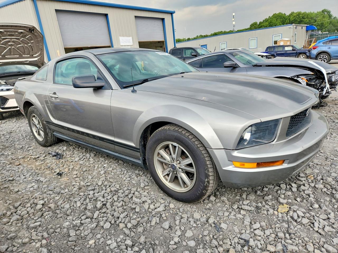 2008 Ford Mustang Cream vin: 1ZVHT80N385201147