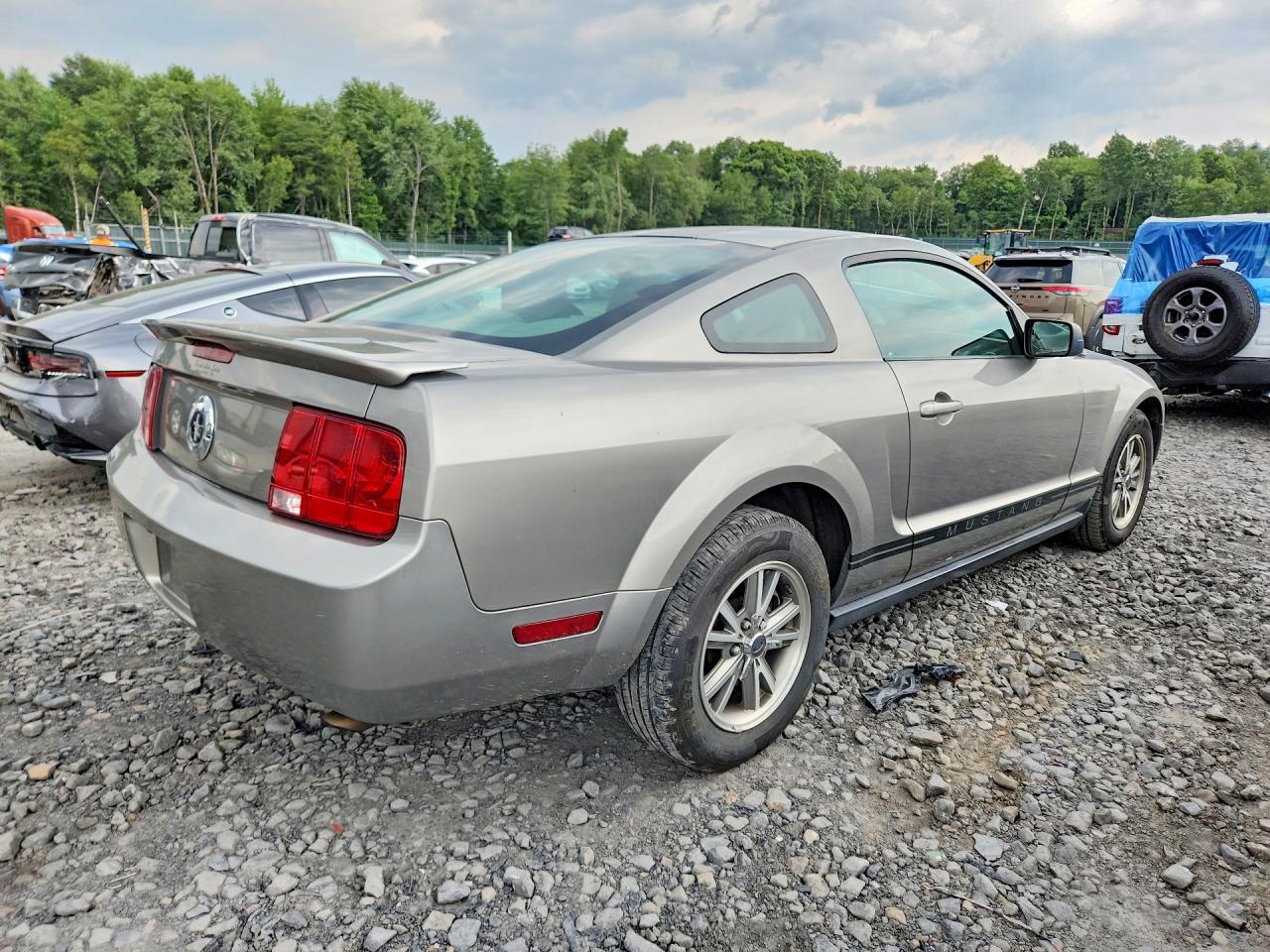 2008 Ford Mustang Cream vin: 1ZVHT80N385201147