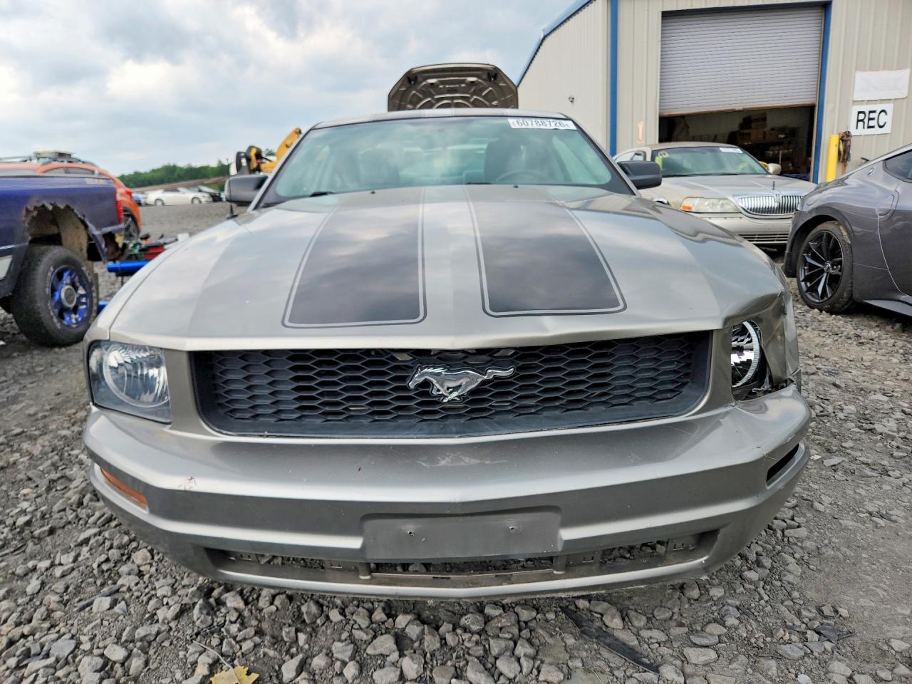 2008 Ford Mustang Cream vin: 1ZVHT80N385201147