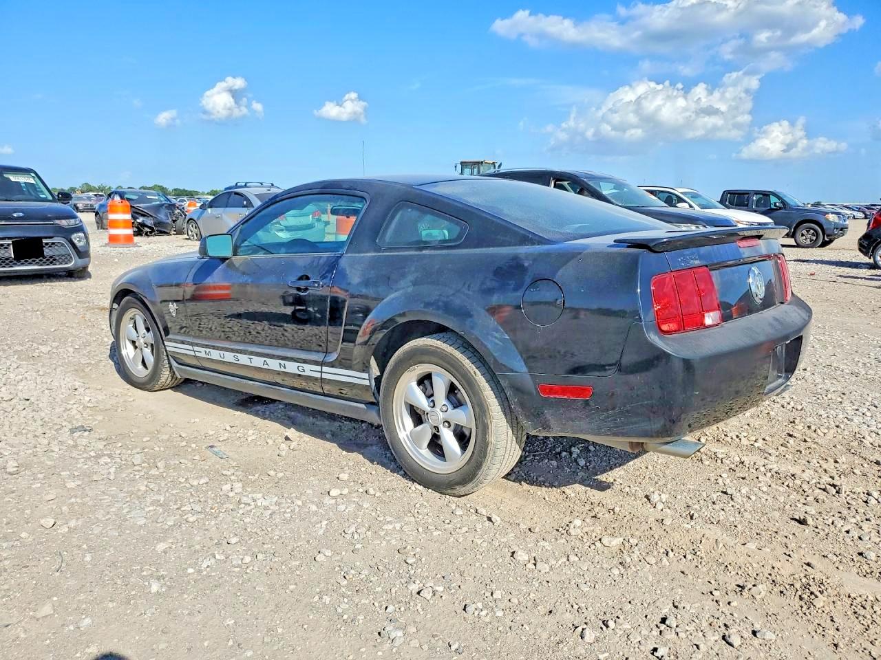 2009 Ford Mustang Black vin: 1ZVHT80N395110090