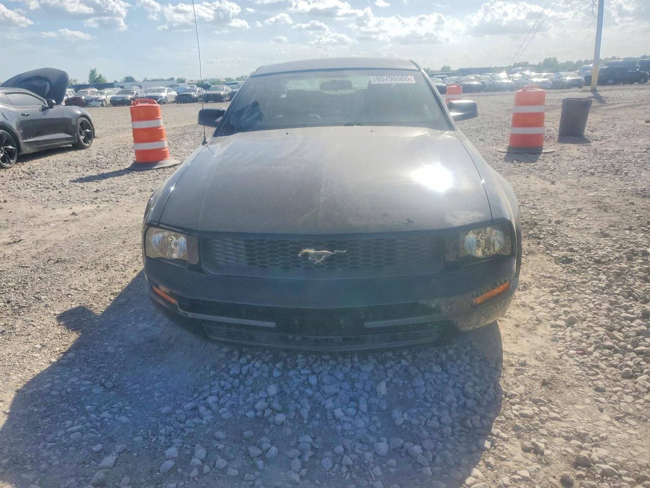 2009 Ford Mustang Black vin: 1ZVHT80N395110090