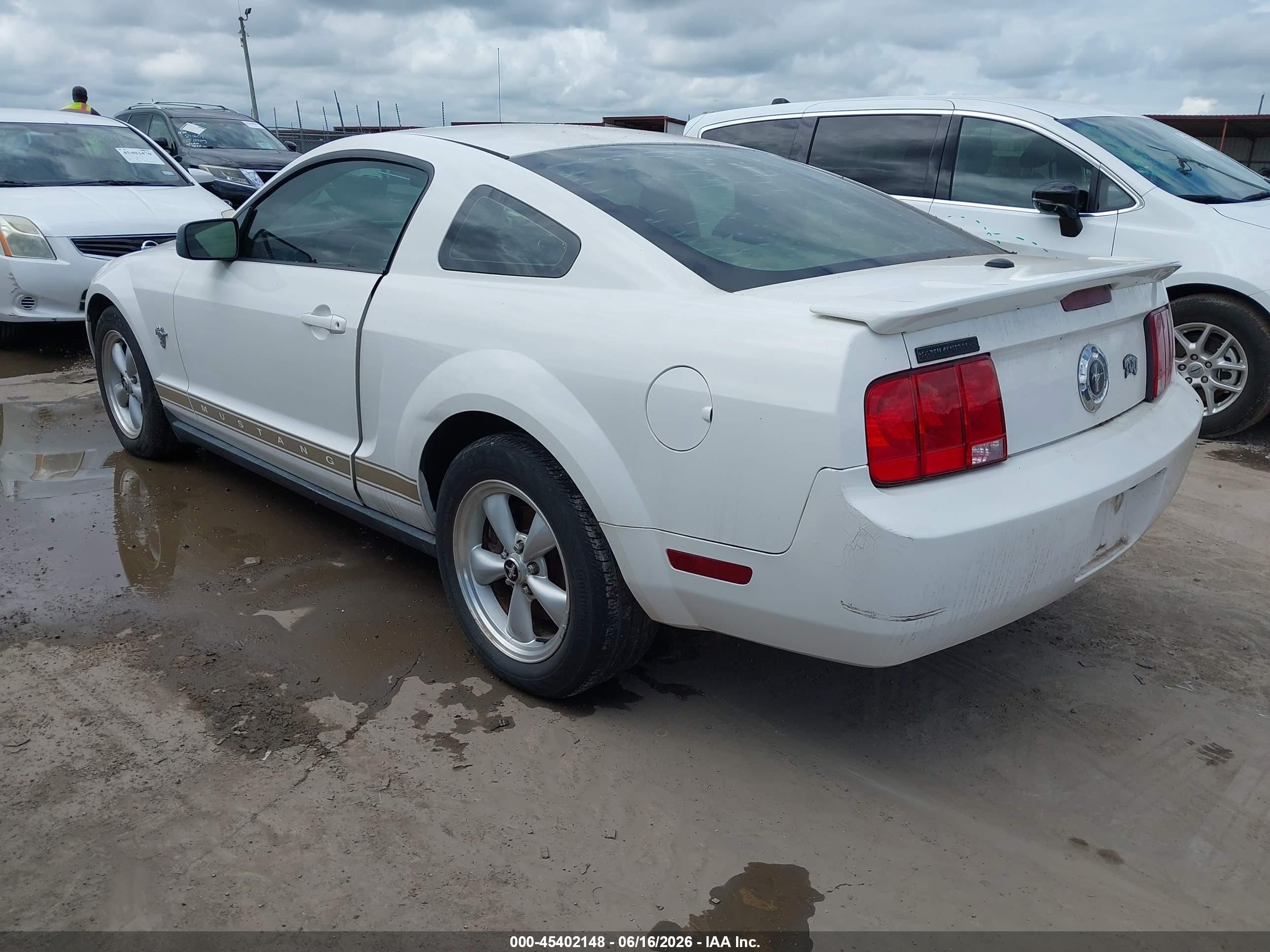 2009 Ford Mustang V6/v6 Premium White vin: 1ZVHT80N395131845