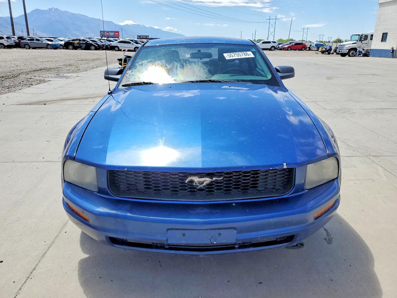 2006 Ford Mustang 2 Door Coupe Синий vin: 1ZVHT80N465126259