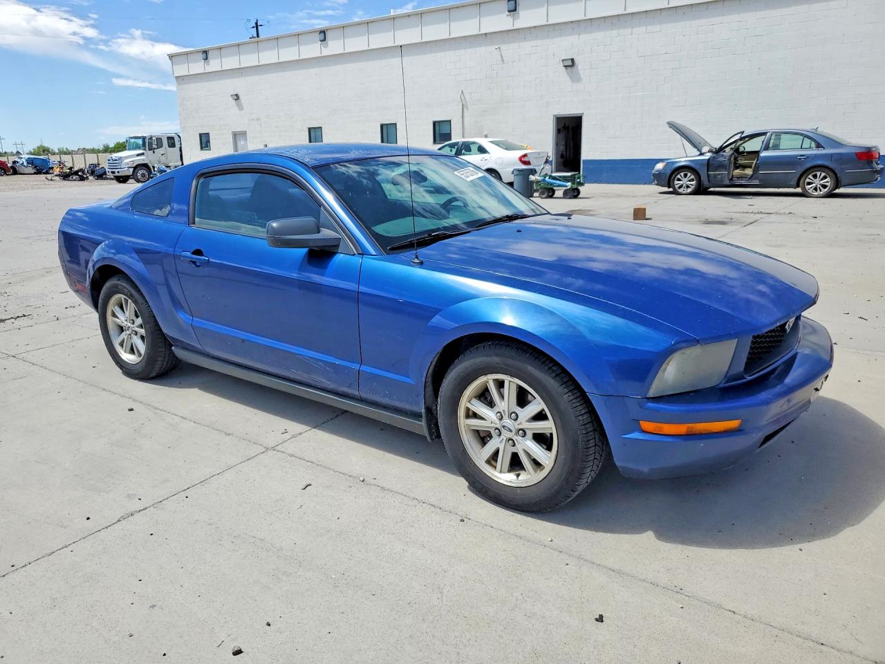 2006 Ford Mustang 2 Door Coupe Синий vin: 1ZVHT80N465126259