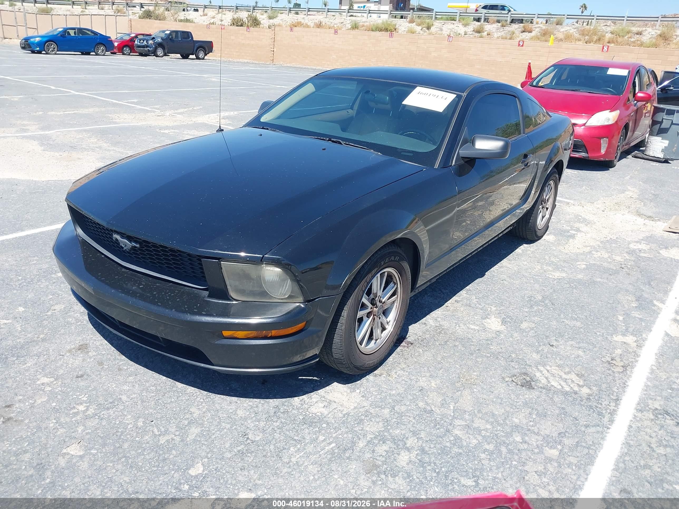 2006 Ford Mustang V6 Black vin: 1ZVHT80N465128478