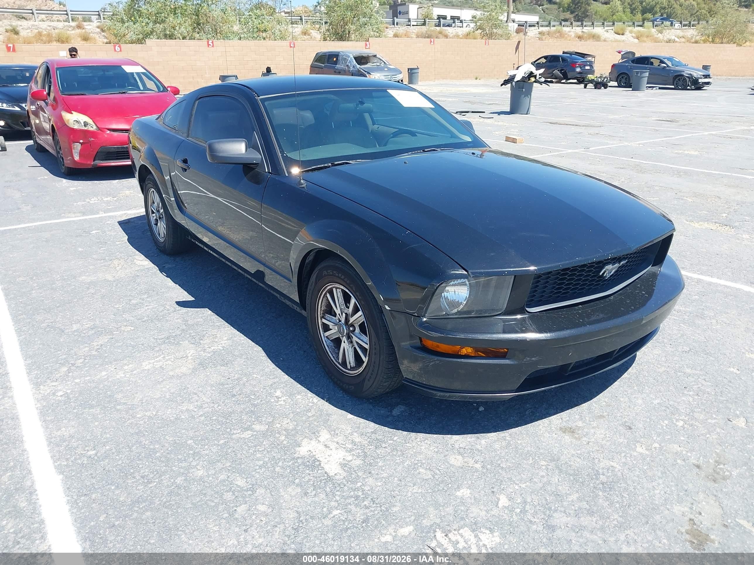 2006 Ford Mustang V6 Black vin: 1ZVHT80N465128478