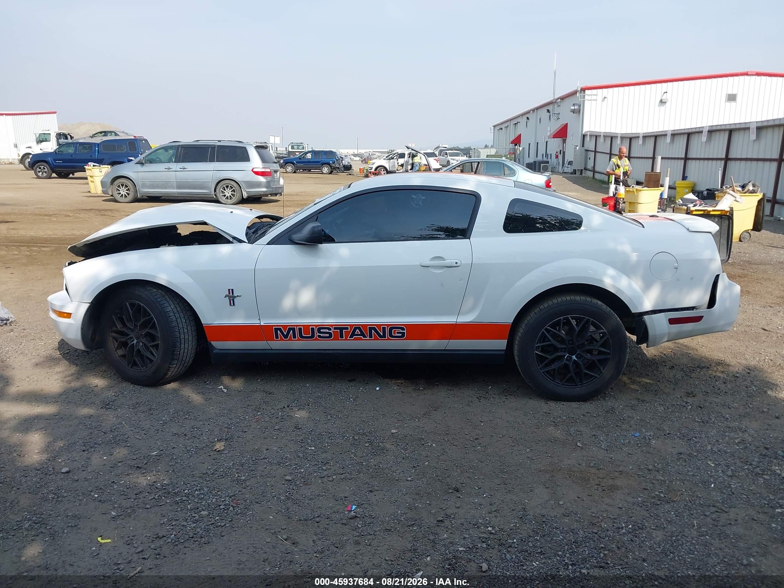 2007 Ford Mustang V6 Deluxe/v6 Premium White vin: 1ZVHT80N475359818