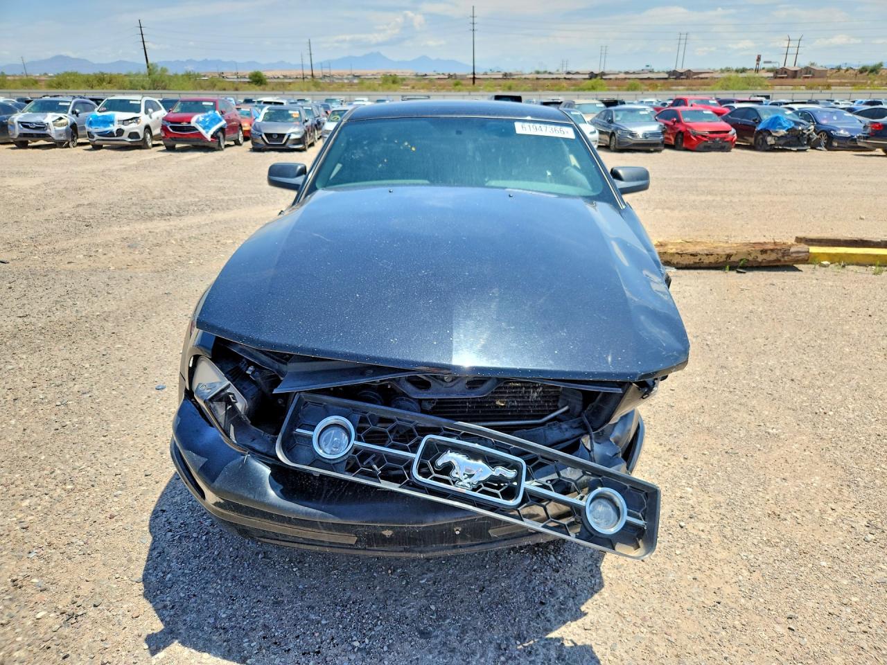 2008 Ford Mustang Black vin: 1ZVHT80N485101770