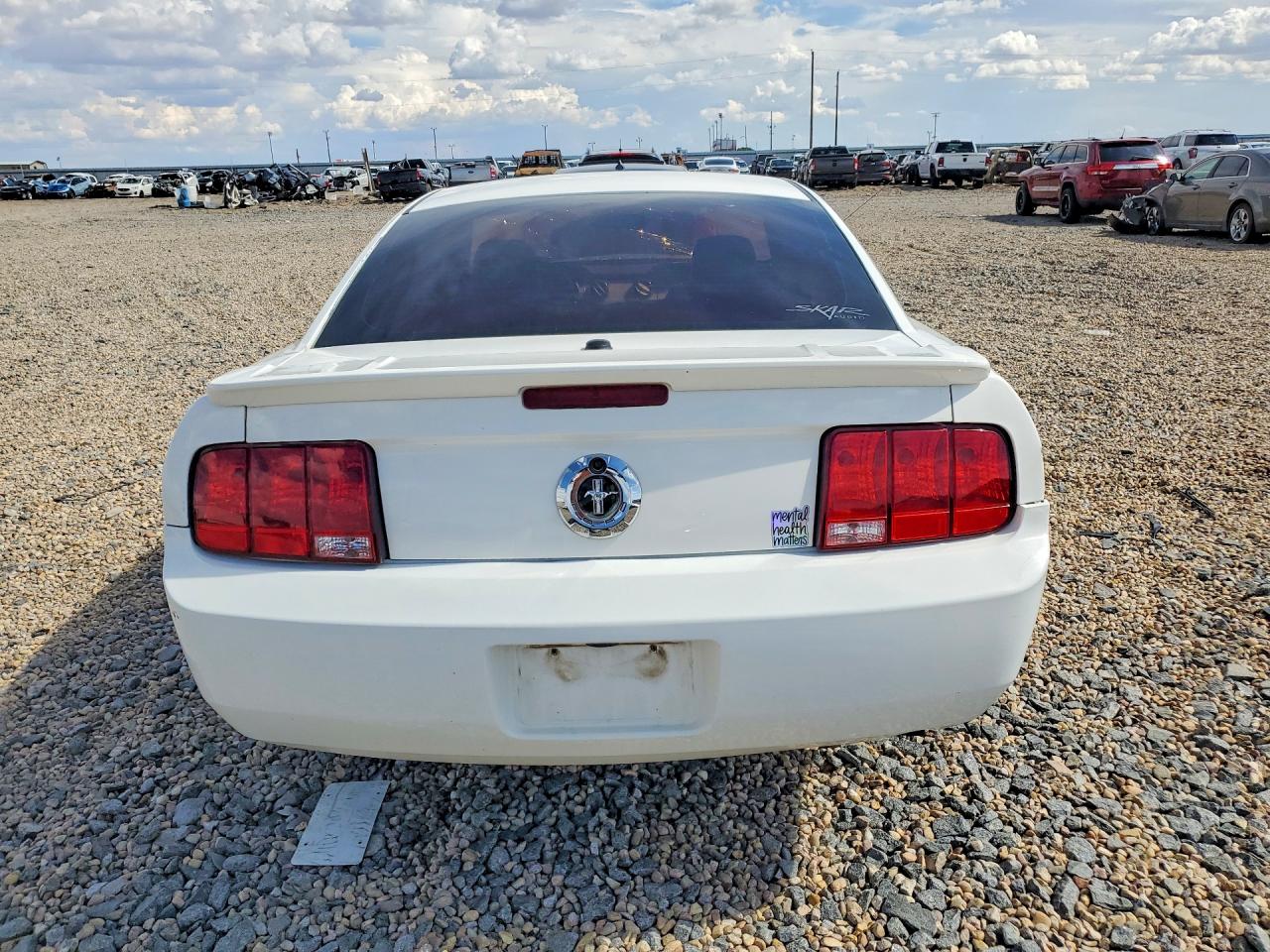 2008 Ford Mustang White vin: 1ZVHT80N485102076