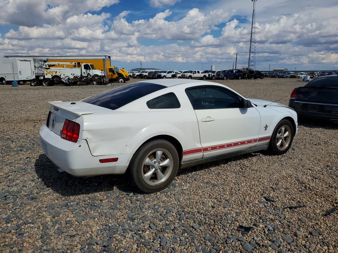 2008 Ford Mustang White vin: 1ZVHT80N485102076