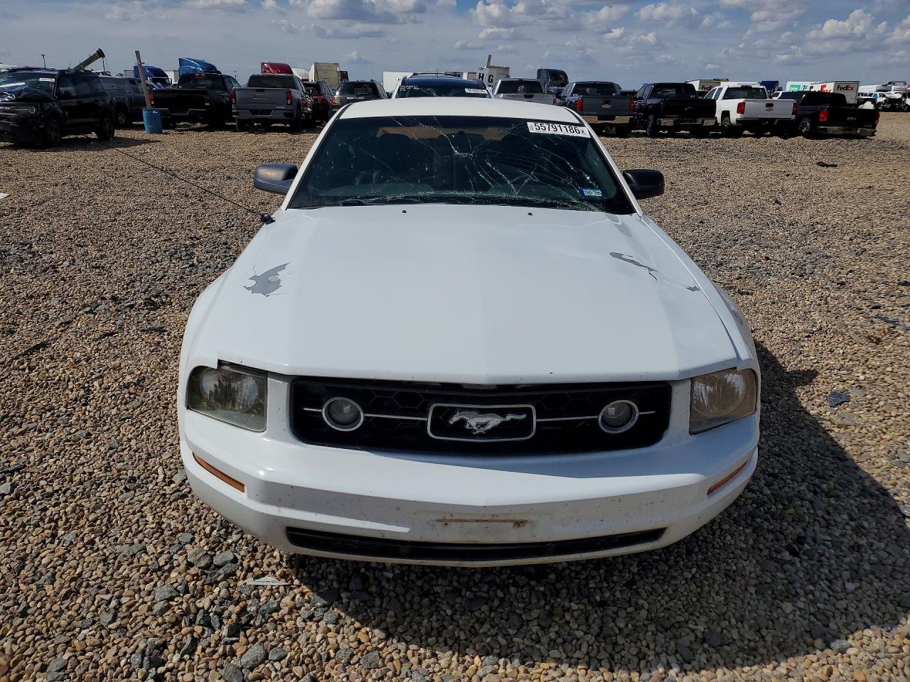 2008 Ford Mustang White vin: 1ZVHT80N485102076