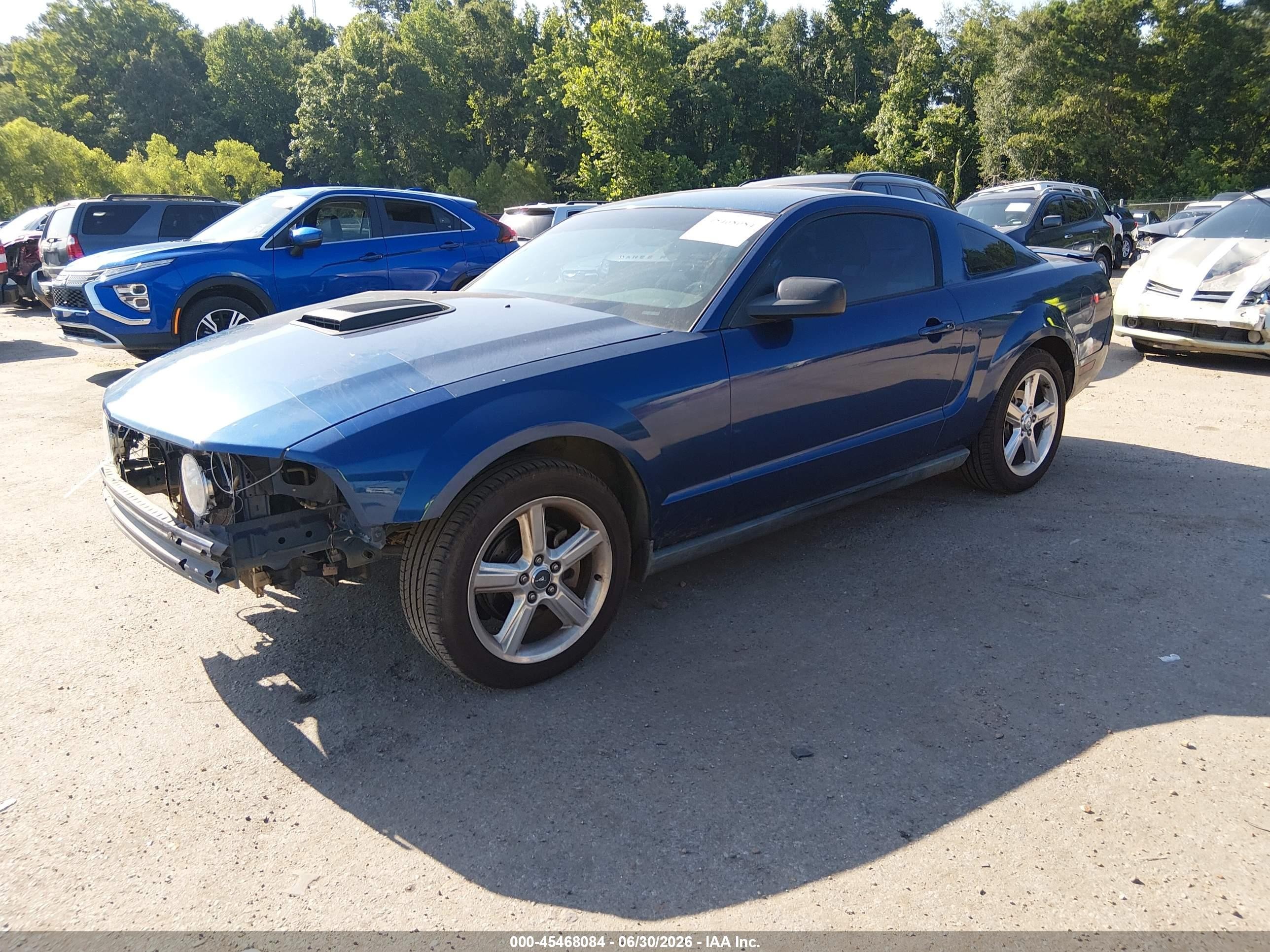 2008 Ford Mustang V6 Deluxe/v6 Premium Синий vin: 1ZVHT80N485206826
