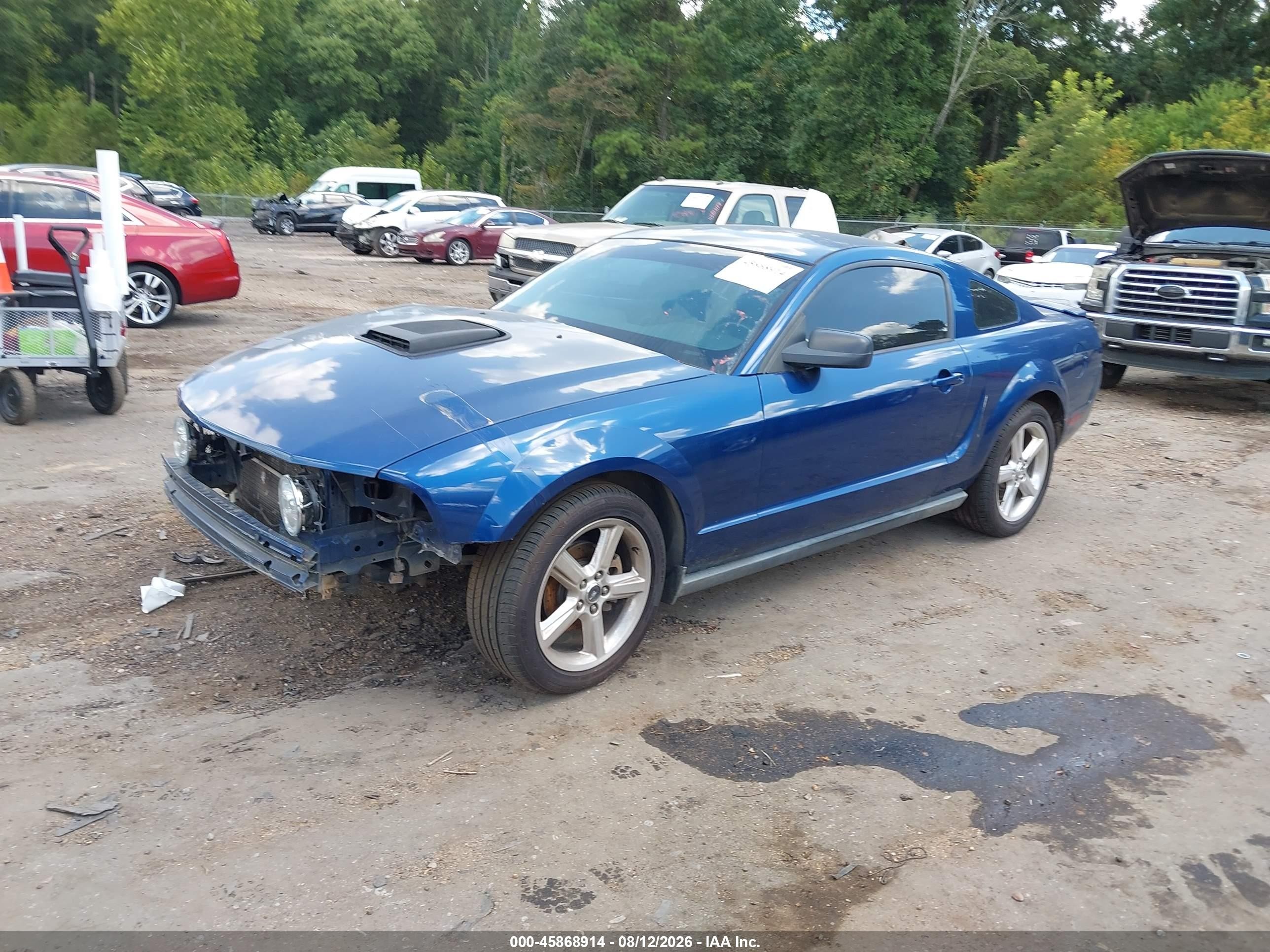 2008 Ford Mustang V6 Deluxe/v6 Premium Blue vin: 1ZVHT80N485206826