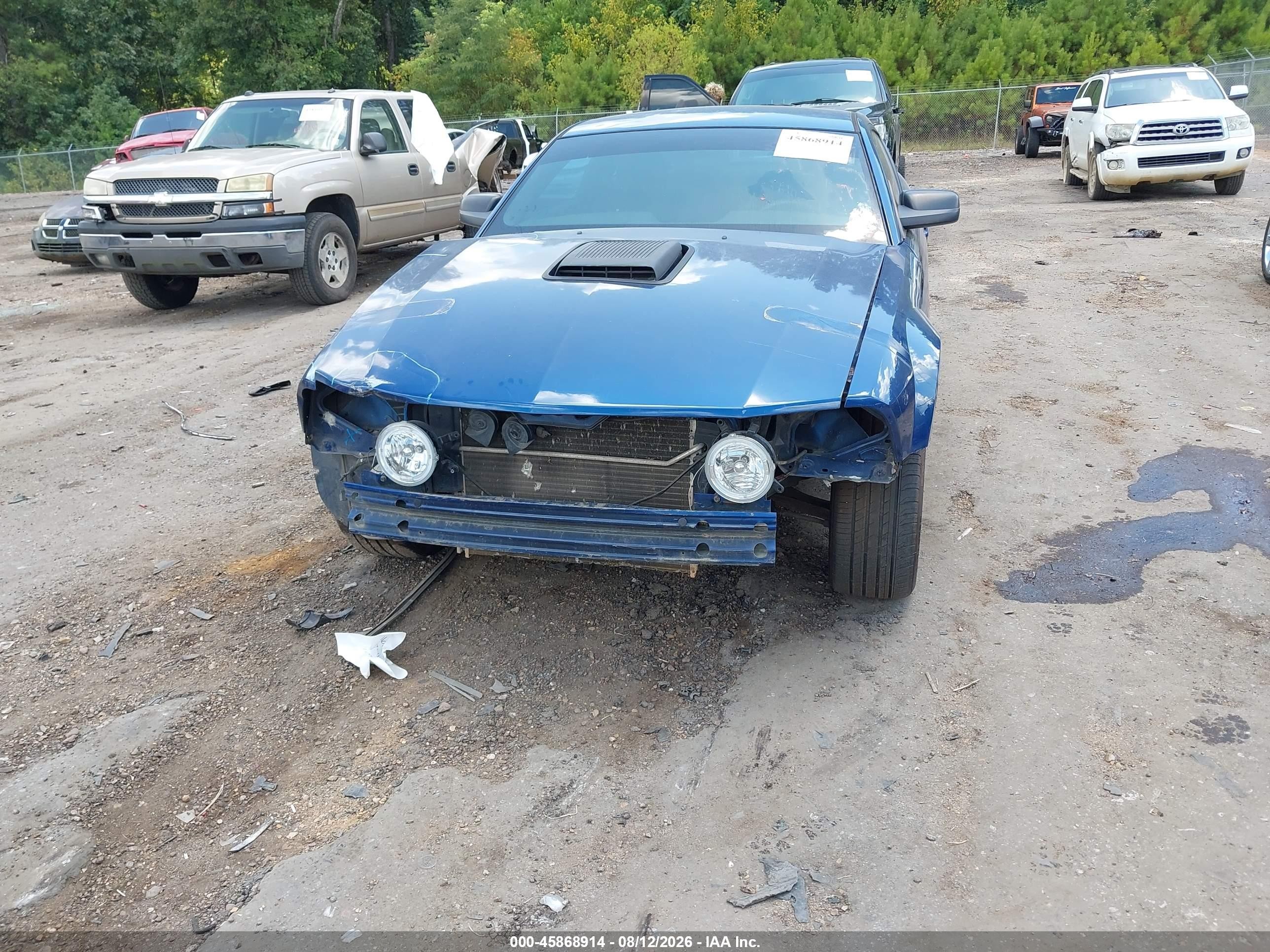 2008 Ford Mustang V6 Deluxe/v6 Premium Blue vin: 1ZVHT80N485206826