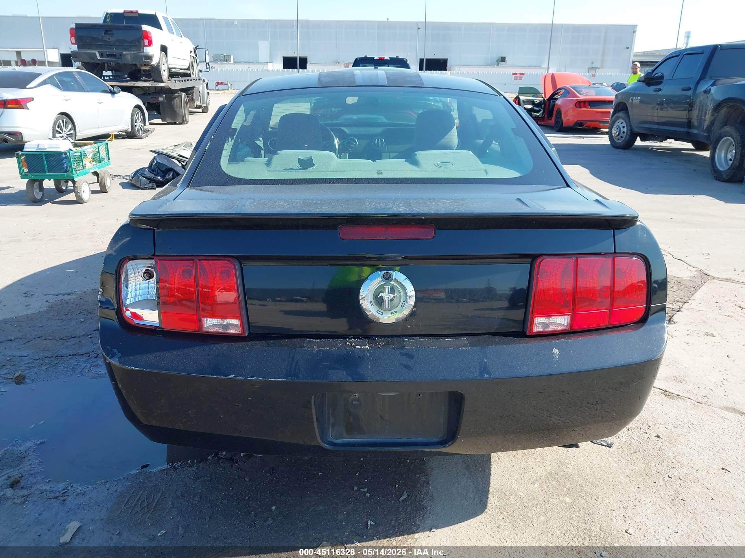 2009 Ford Mustang V6/v6 Premium Черный vin: 1ZVHT80N495115184