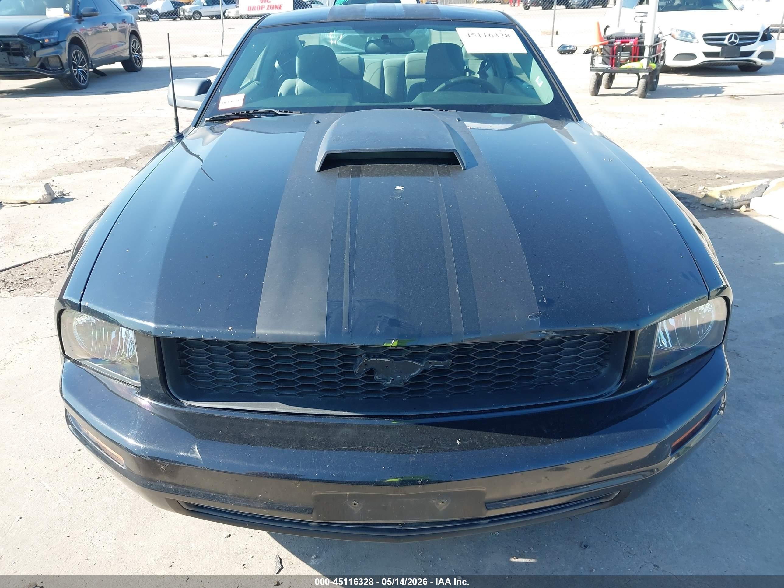2009 Ford Mustang V6/v6 Premium Черный vin: 1ZVHT80N495115184