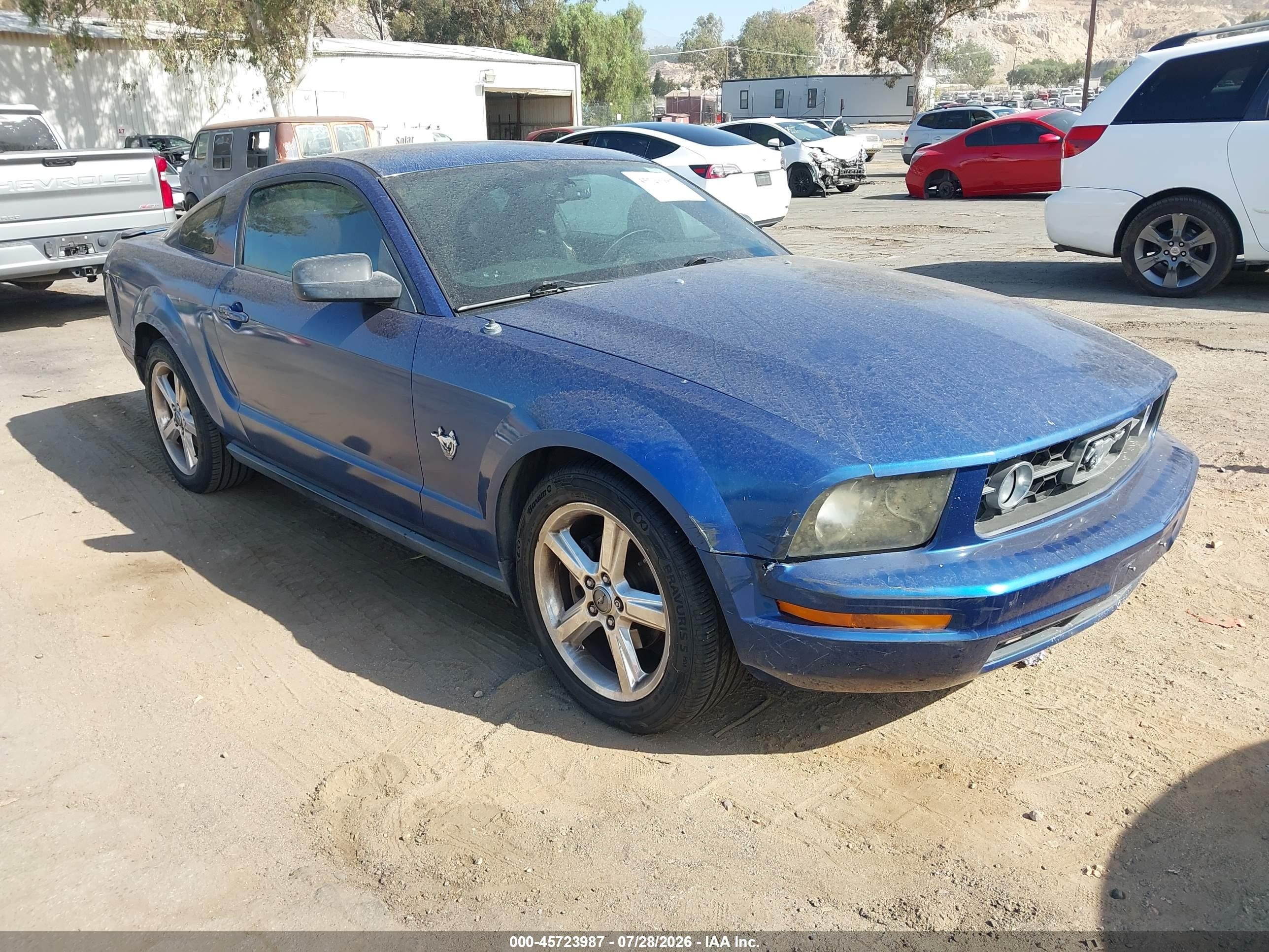 2009 Ford Mustang V6/v6 Premium Blue vin: 1ZVHT80N495119591