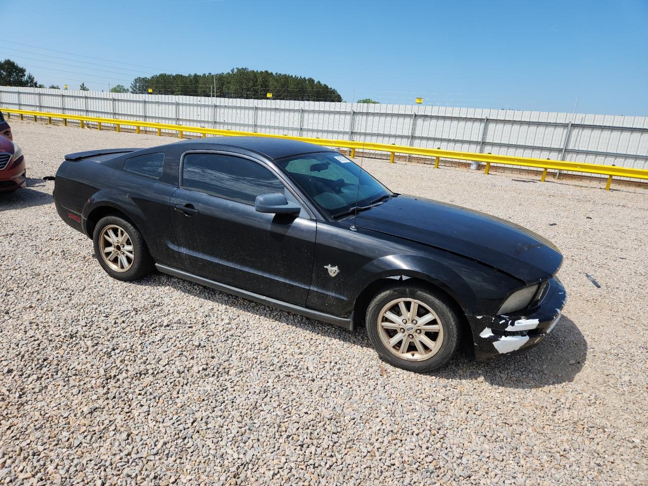 2009 Ford Mustang Black vin: 1ZVHT80N495124404