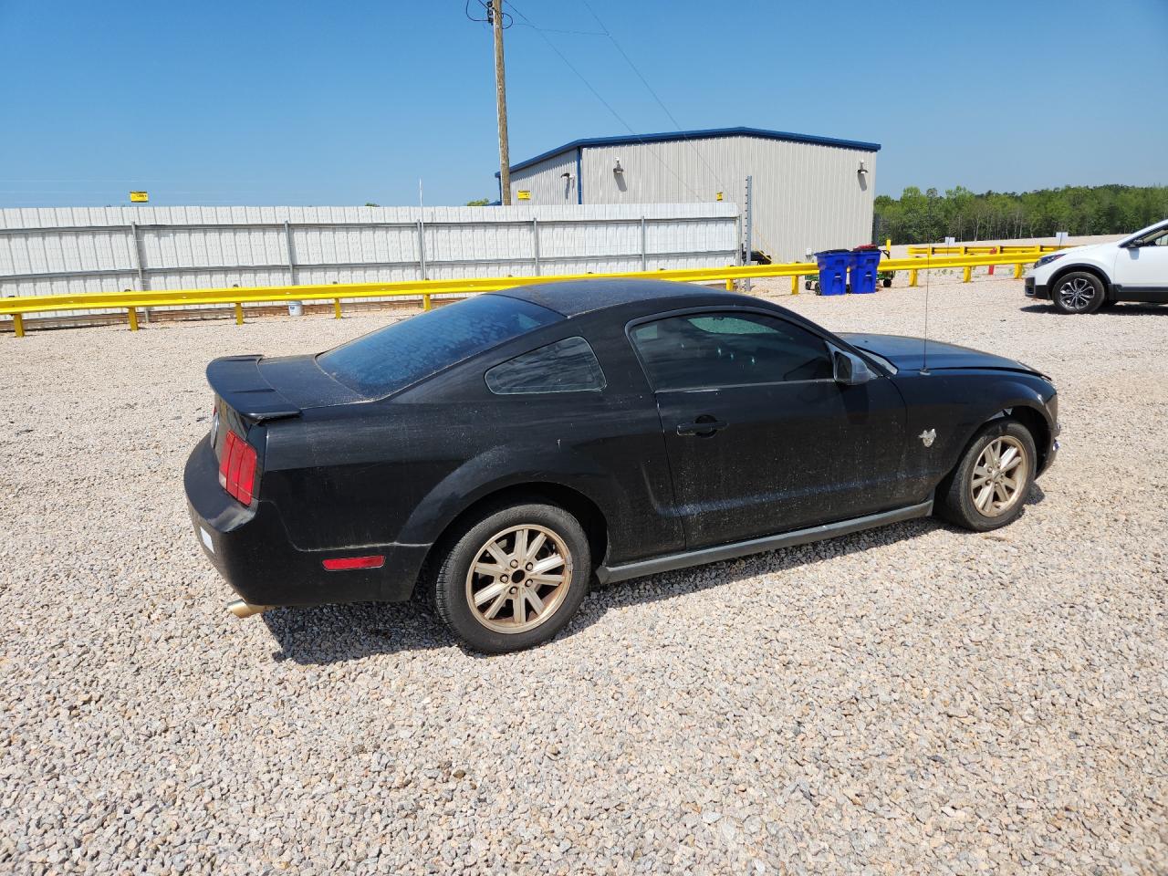 2009 Ford Mustang Black vin: 1ZVHT80N495124404