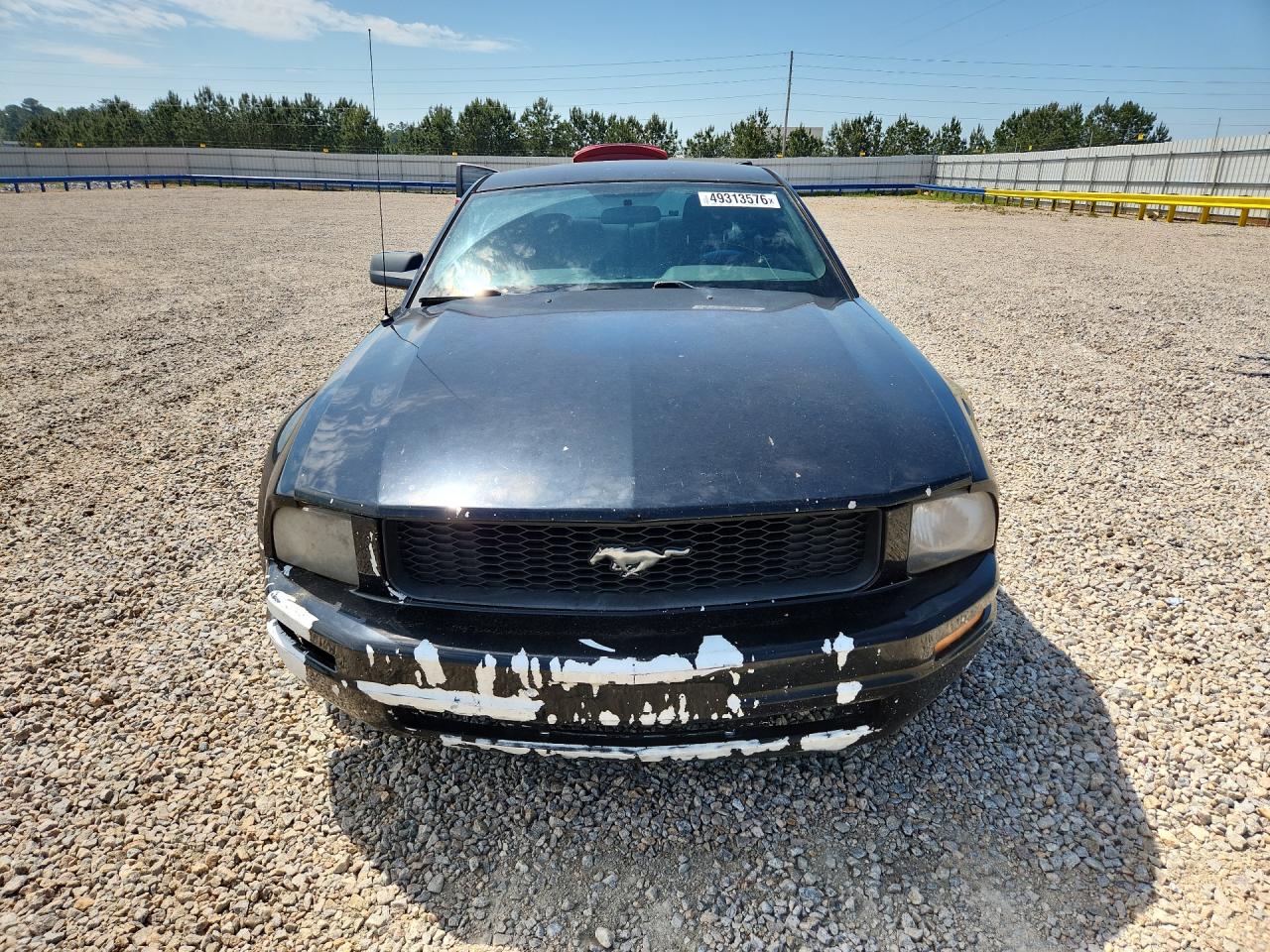 2009 Ford Mustang Black vin: 1ZVHT80N495124404