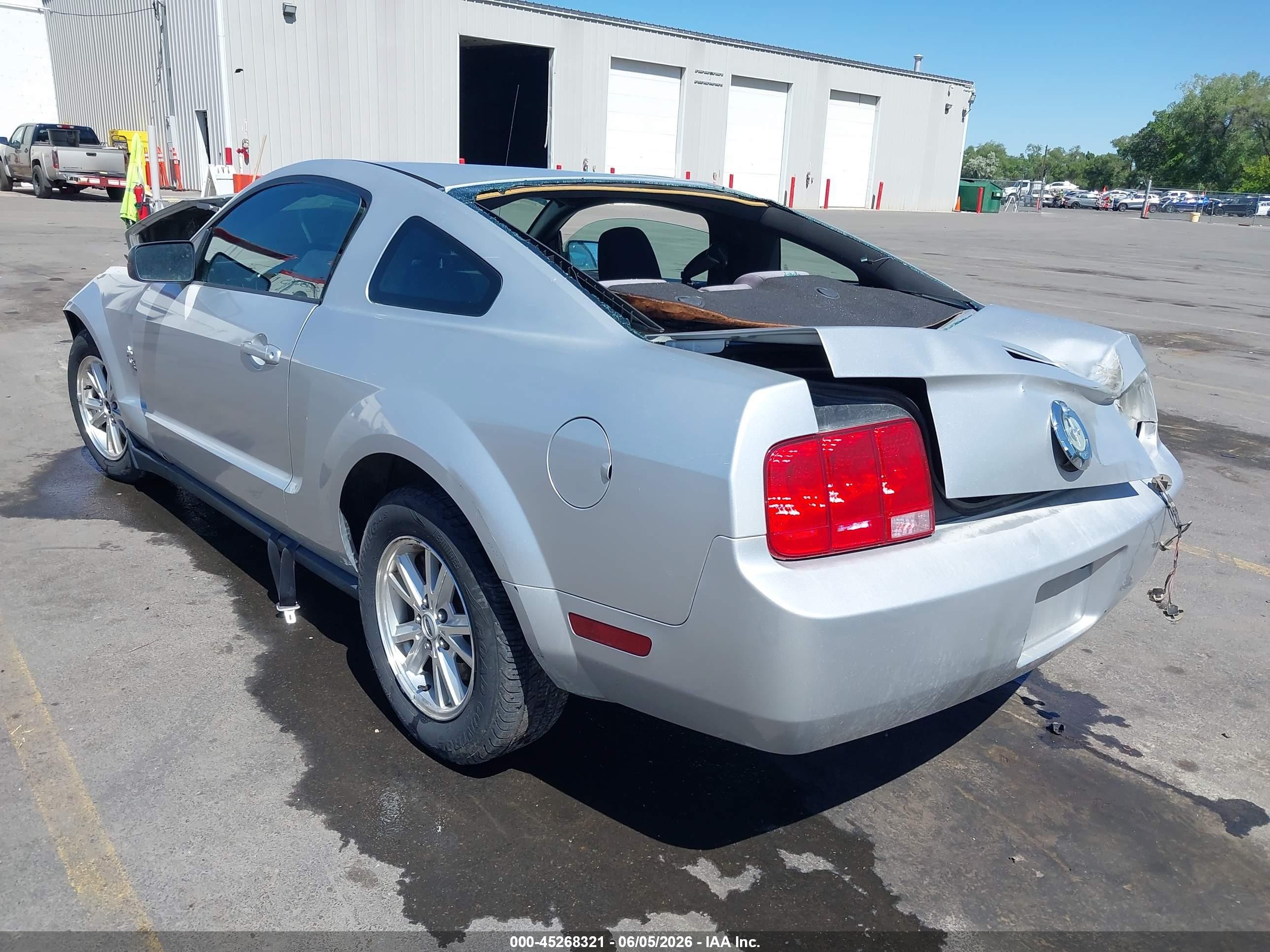 2009 Ford Mustang V6/v6 Premium Silver vin: 1ZVHT80N495126301