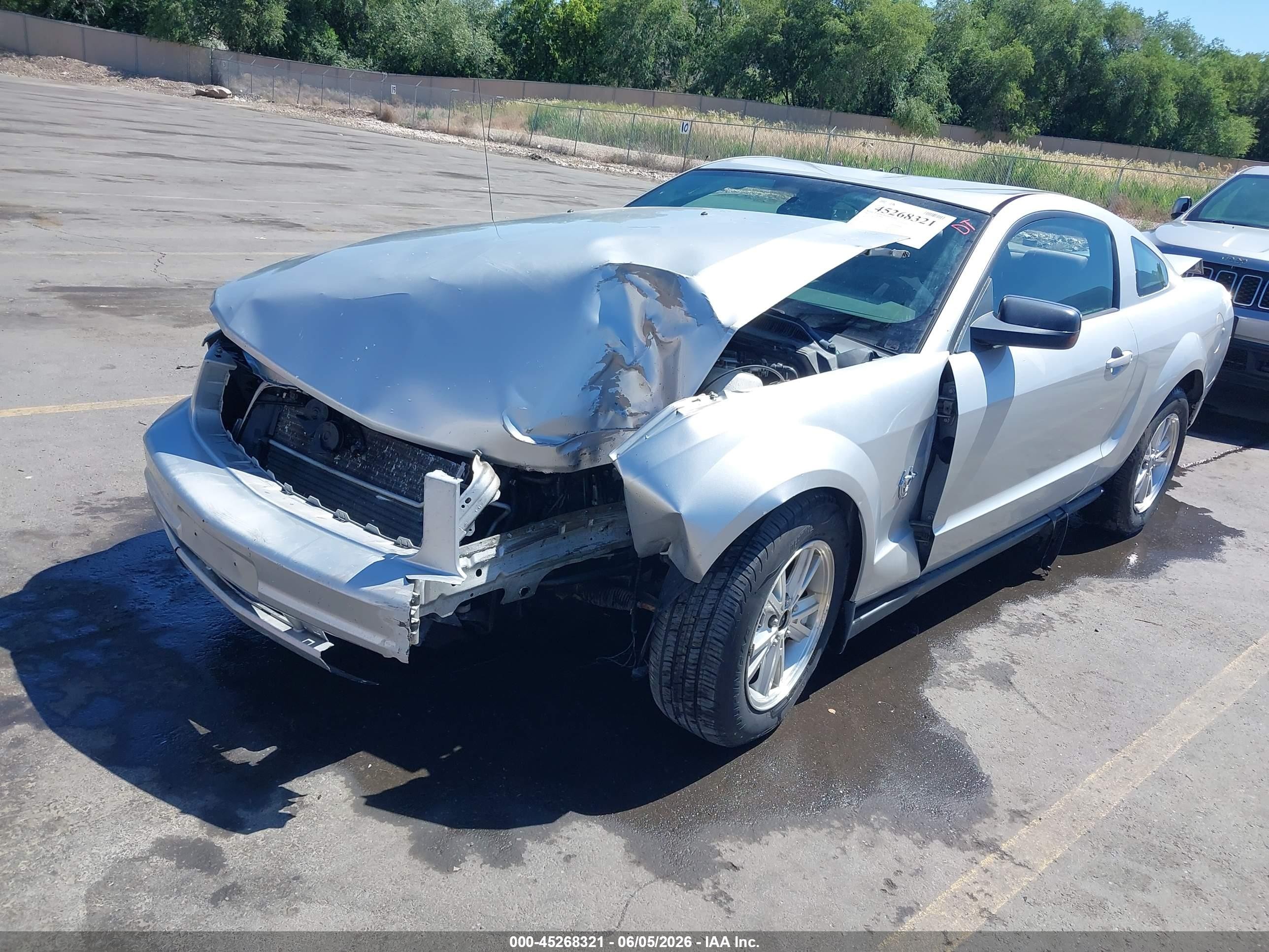 2009 Ford Mustang V6/v6 Premium Silver vin: 1ZVHT80N495126301