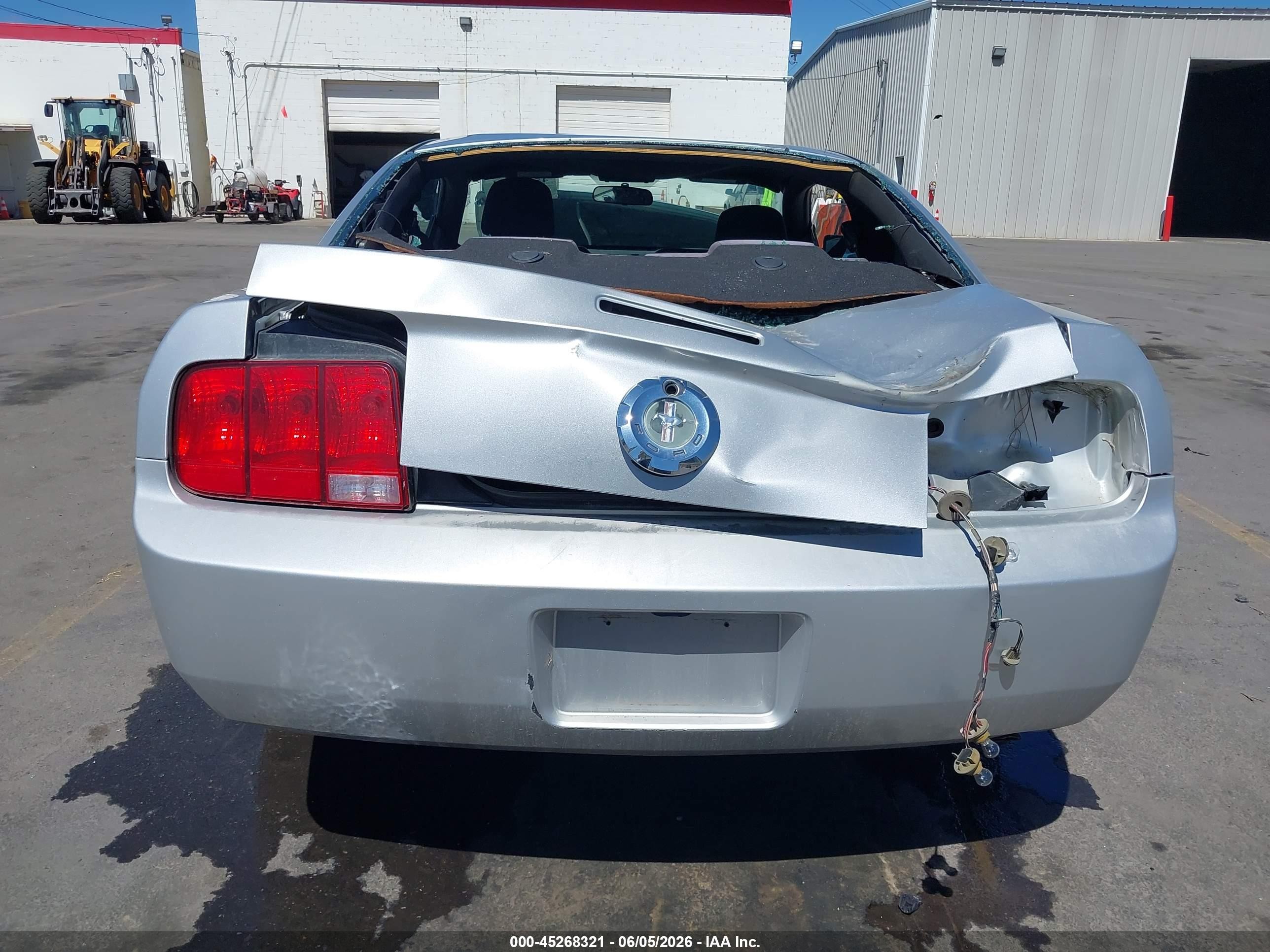 2009 Ford Mustang V6/v6 Premium Silver vin: 1ZVHT80N495126301