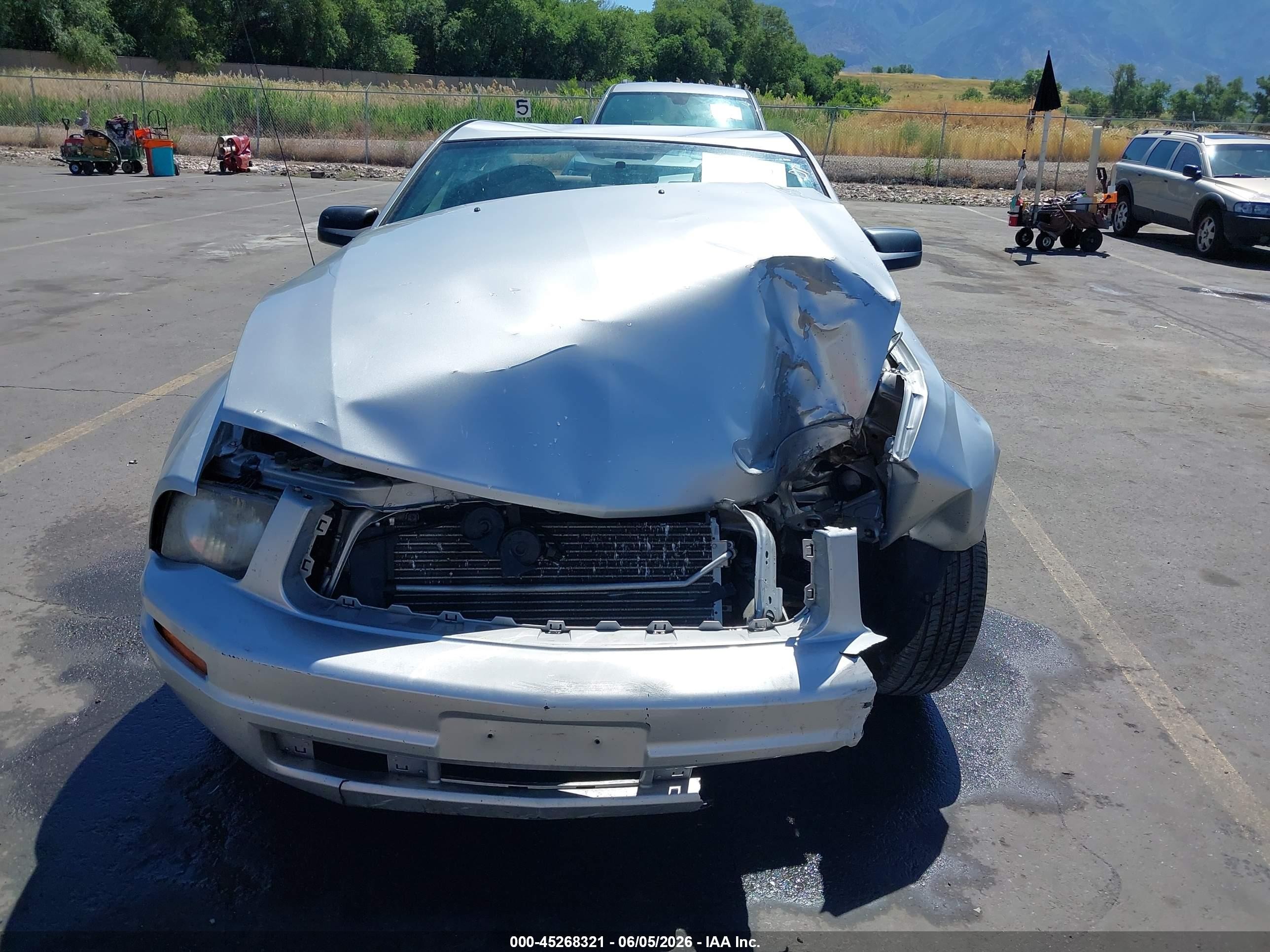 2009 Ford Mustang V6/v6 Premium Silver vin: 1ZVHT80N495126301
