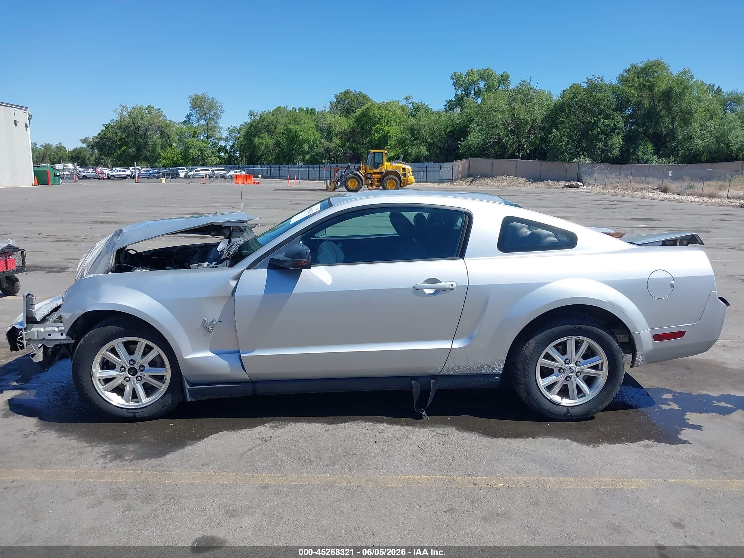 2009 Ford Mustang V6/v6 Premium Silver vin: 1ZVHT80N495126301