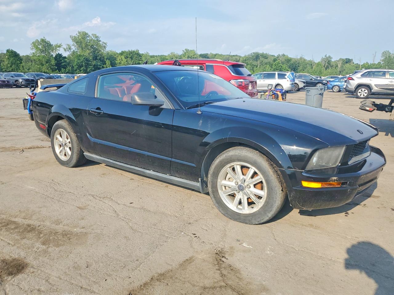 2006 Ford Mustang Black vin: 1ZVHT80N565131602