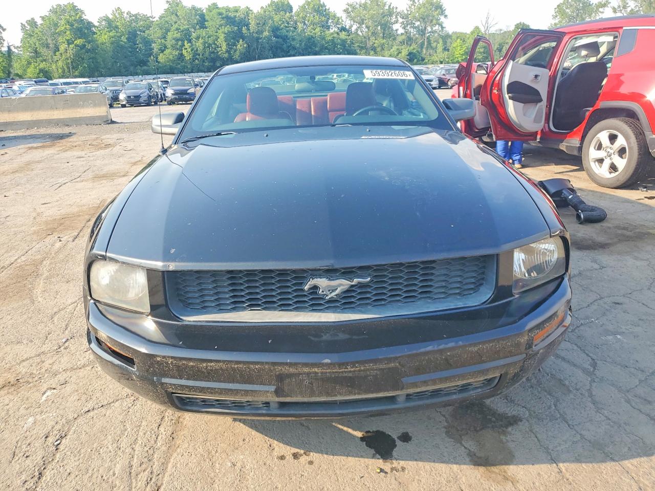 2006 Ford Mustang Black vin: 1ZVHT80N565131602