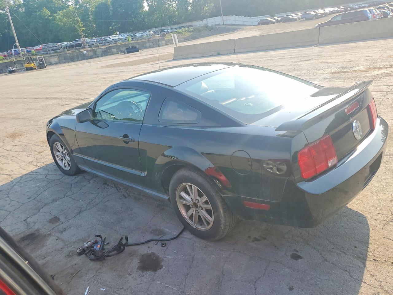 2006 Ford Mustang Black vin: 1ZVHT80N565131602