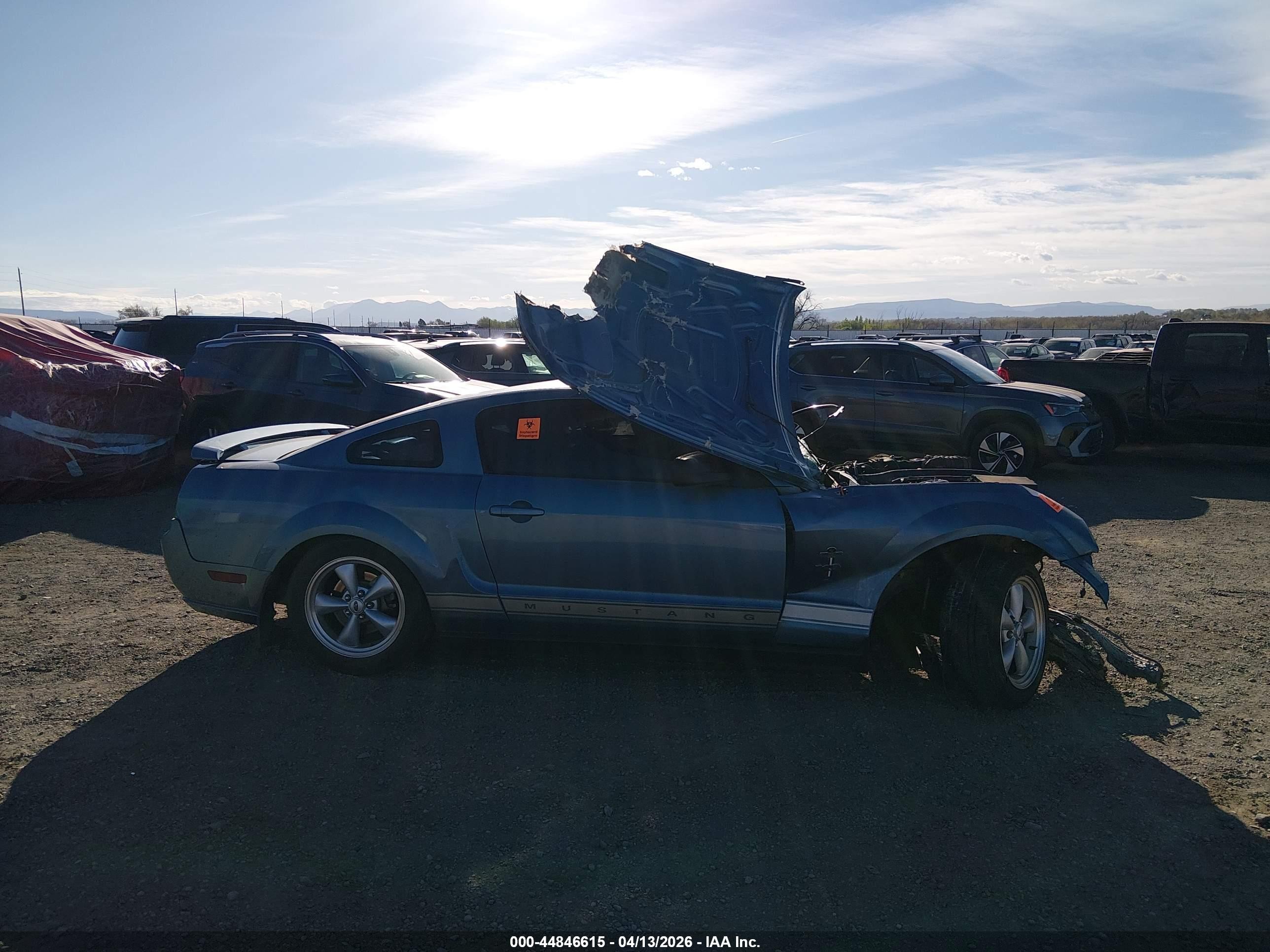 2006 Ford Mustang V6 Blue vin: 1ZVHT80N565177138