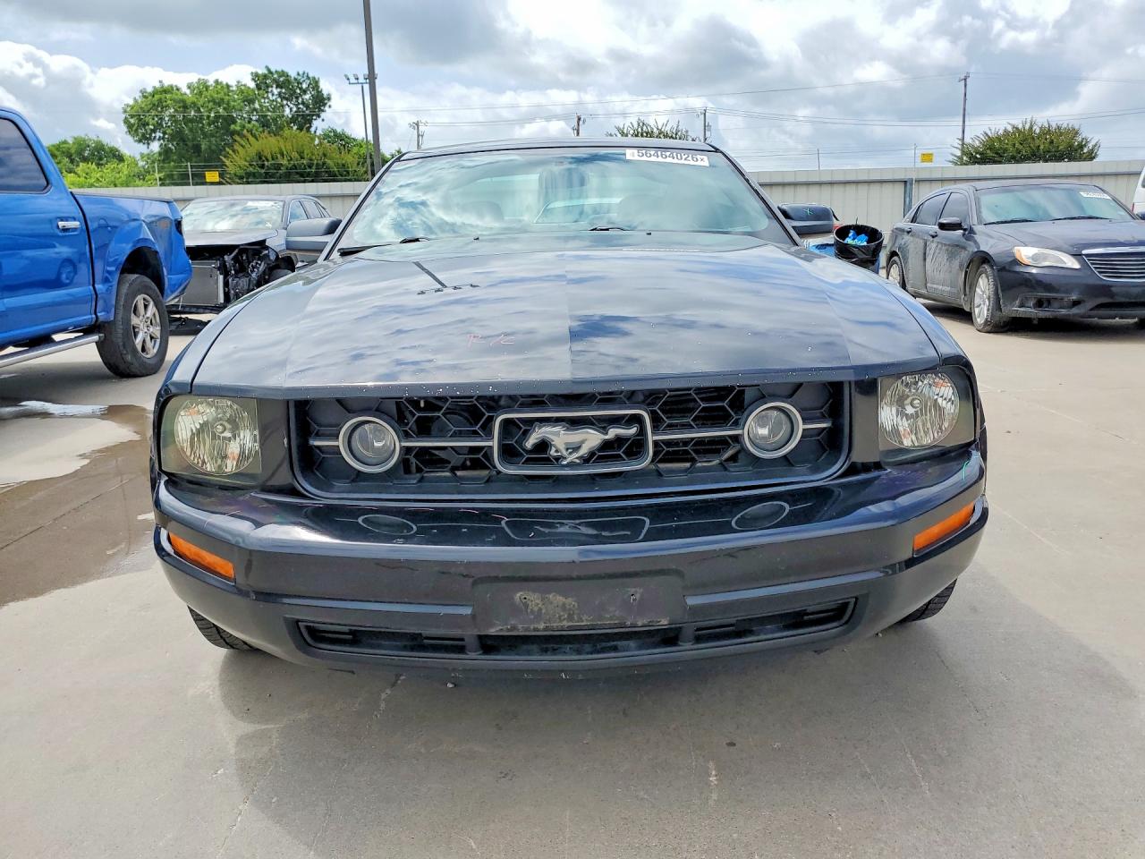 2007 Ford Mustang Black vin: 1ZVHT80N575254429