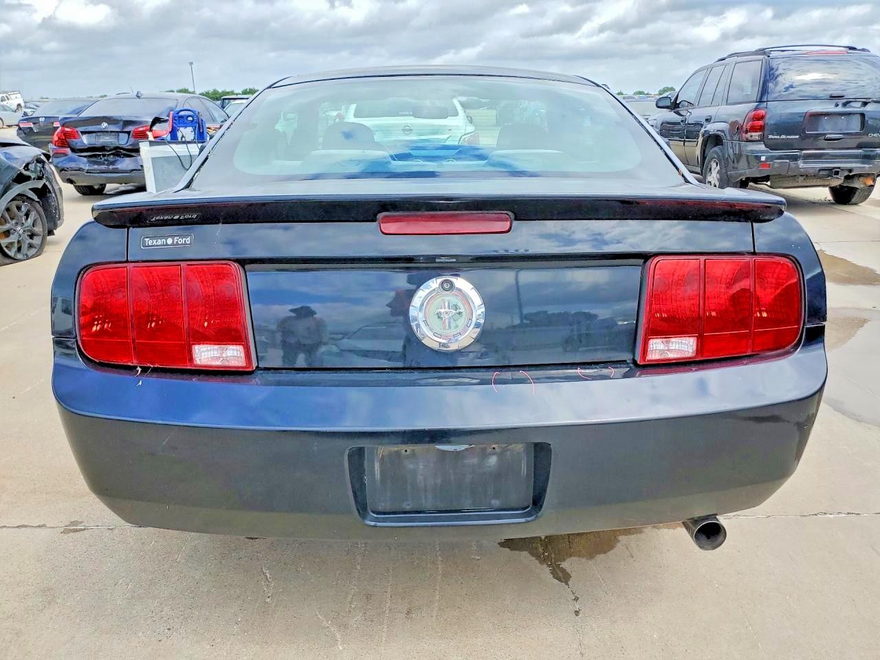 2007 Ford Mustang Black vin: 1ZVHT80N575254429