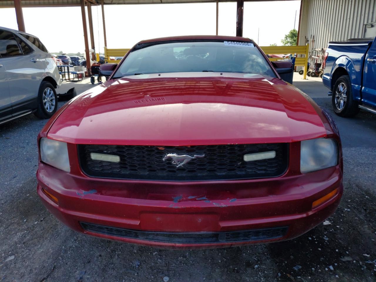 2008 Ford Mustang Red vin: 1ZVHT80N585106296